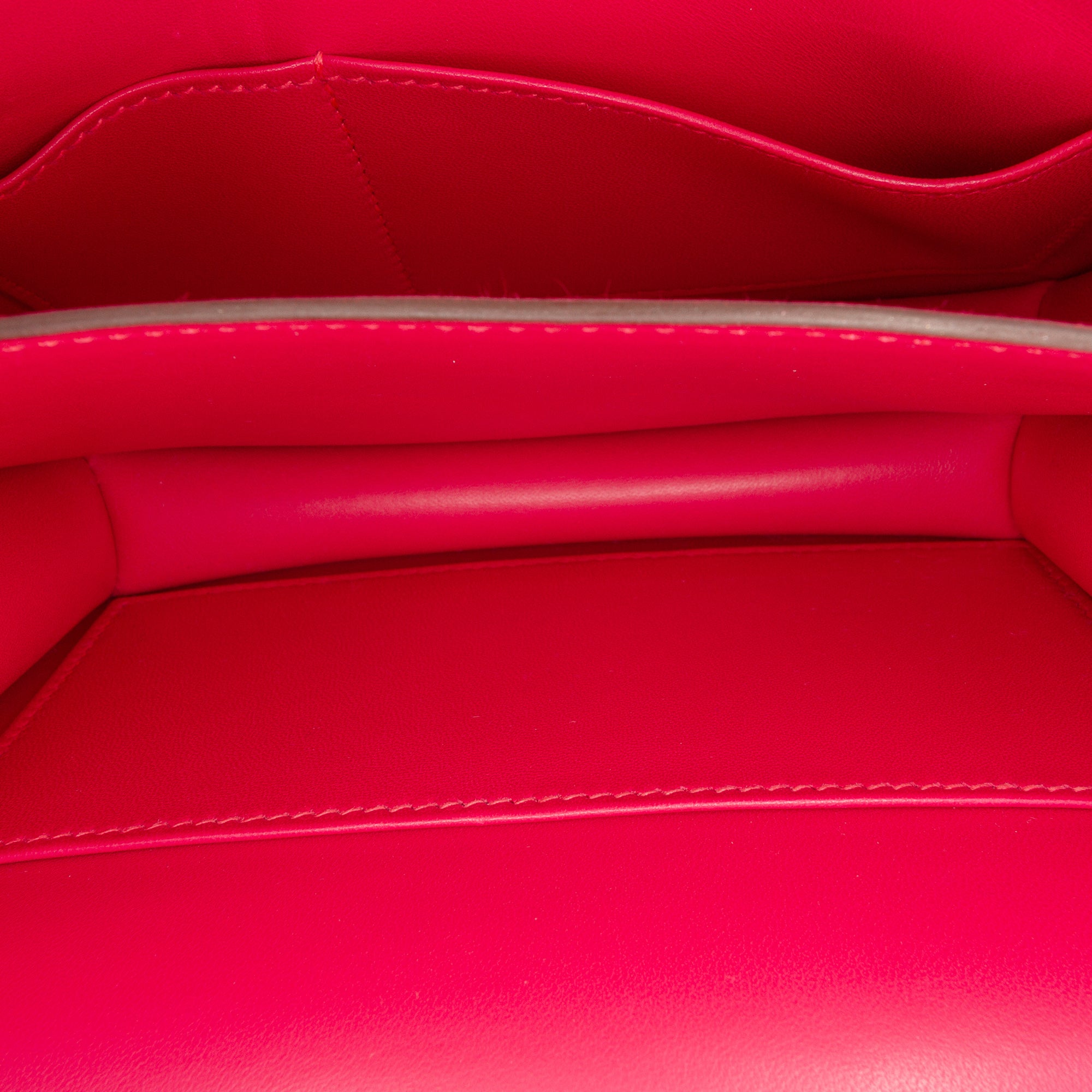 Mini Chevre Mysore Constance 18