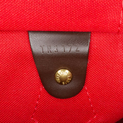 Damier Ebene Speedy 30