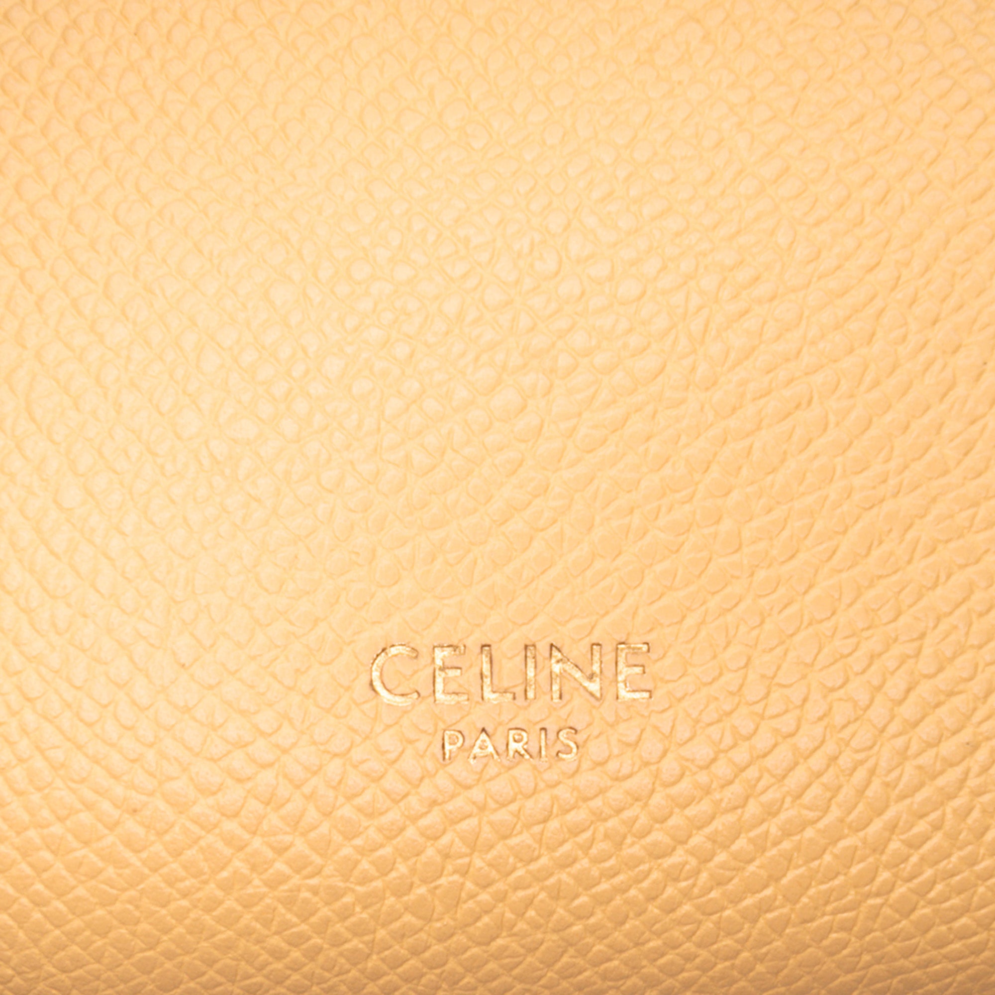 Pico Grained Calfskin Belt Bag