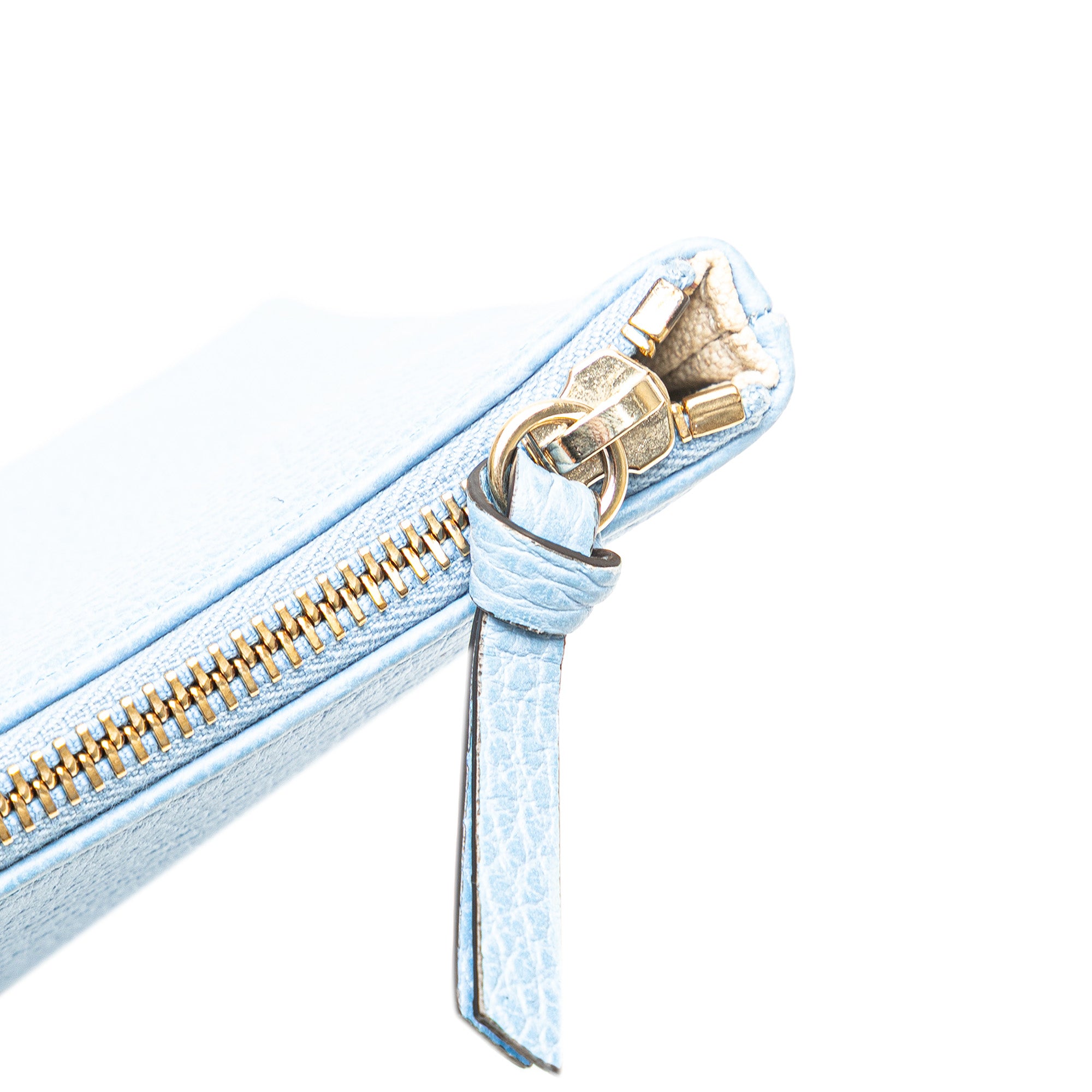 Large Dollar Calfskin Swing Pouch