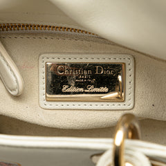 Niki De Saint Phalle Mini Calfskin Dioramour Lady Dior