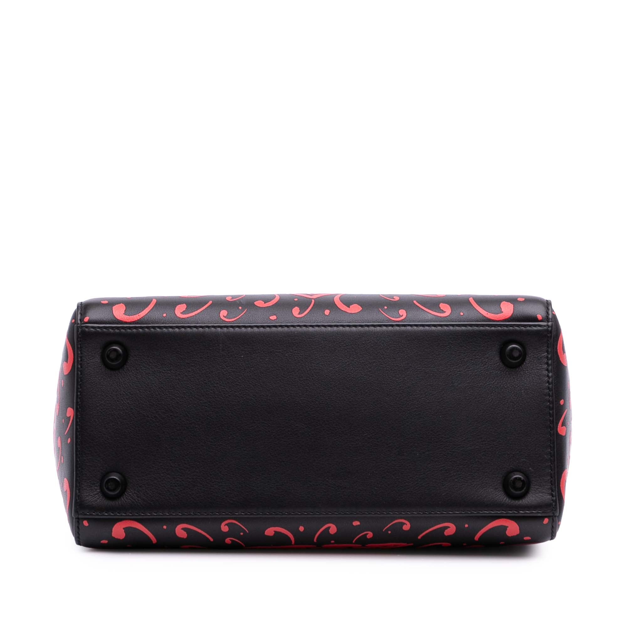 Small Smooth Calfskin Painted Heart Clover Lady Dior