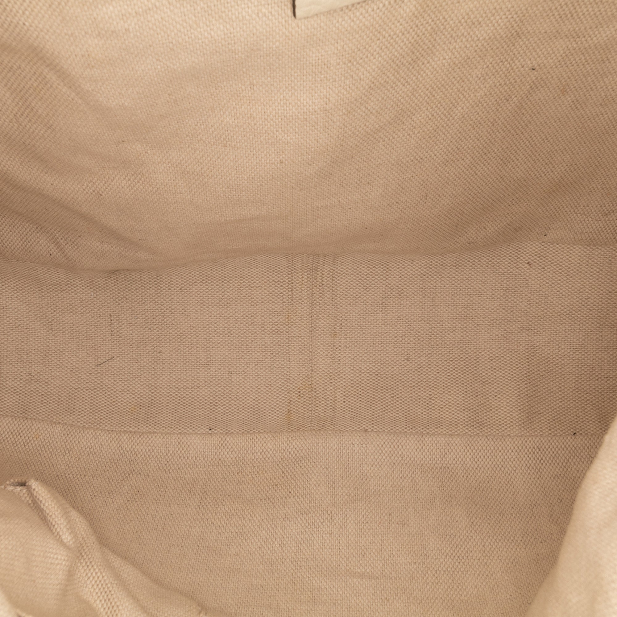 GG Canvas Bamboo Diana Satchel