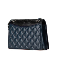 Medium Quilted Lambskin Ballerine Flap