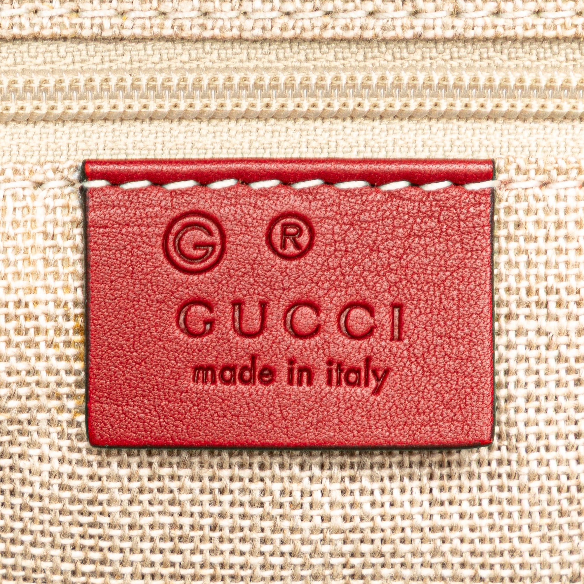 Large Microguccissima Satchel