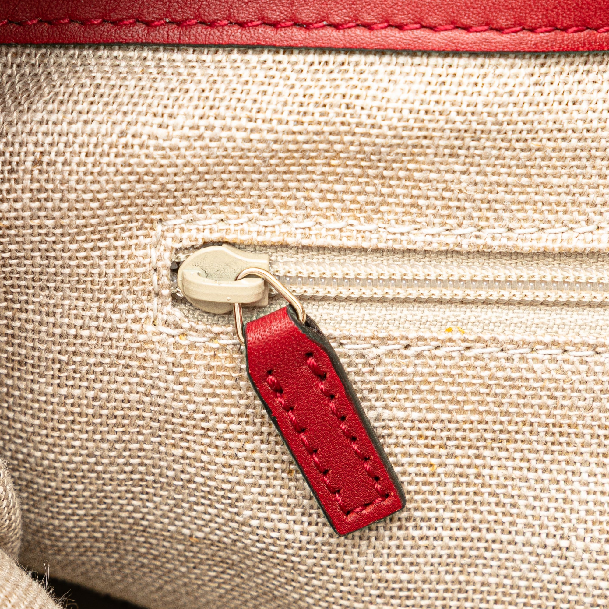 Large Microguccissima Satchel