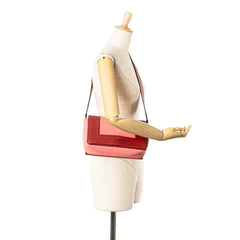 Leather Frame Shoulder Bag