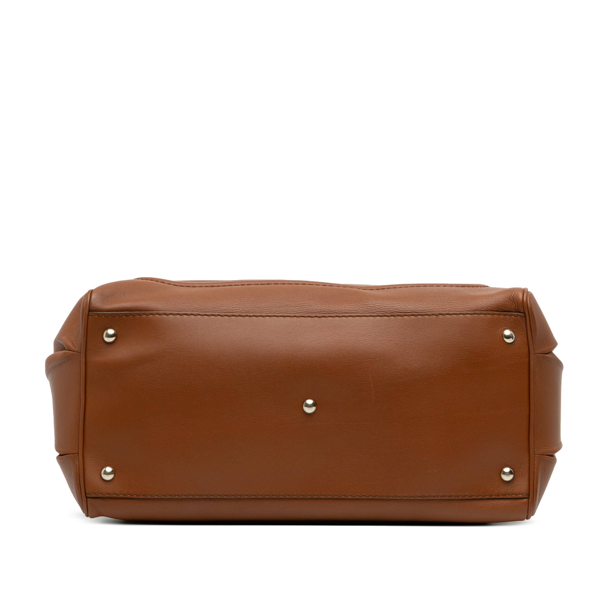 Medium Calfskin Bold Bamboo Top Handle