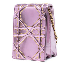 Metallic Studded Calfskin Vertical Diorama