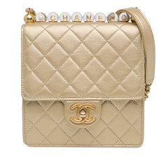 Small Lambskin Chic Pearls Flap_0