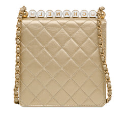 Small Lambskin Chic Pearls Flap_2