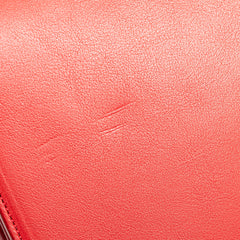 Small Leather Sac De Jour Satchel