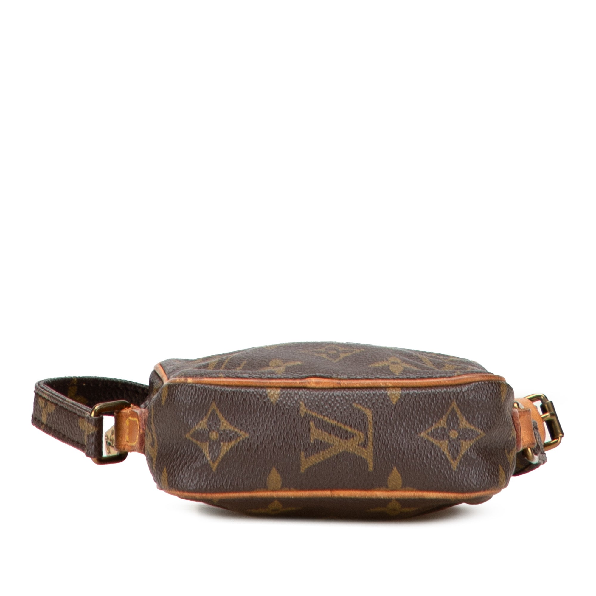 Monogram Mini Danube