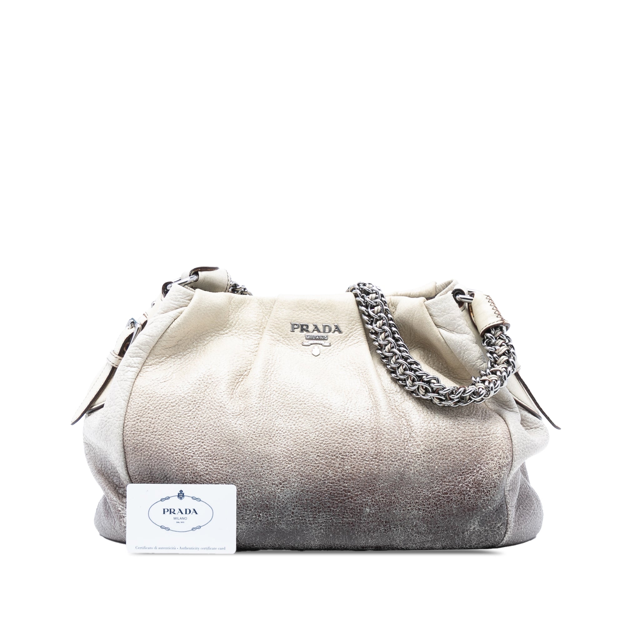 Cervo Ombre Antik Chain Shoulder Bag
