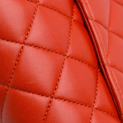 Medium Classic Lambskin Double Flap_7