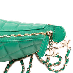 Small Quilted Lambskin Chain Around Hook Hobo Bag