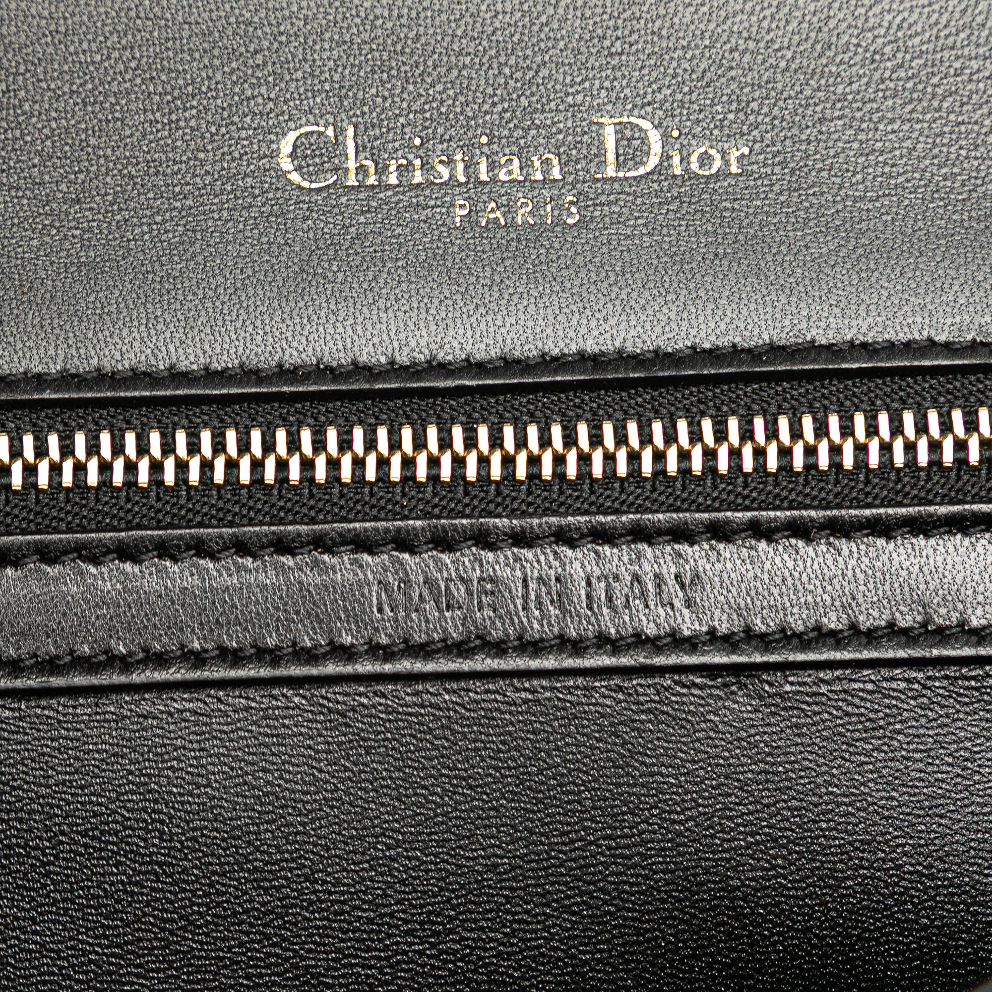 Medium Calfskin Crystal Embroidered Diorama Flap