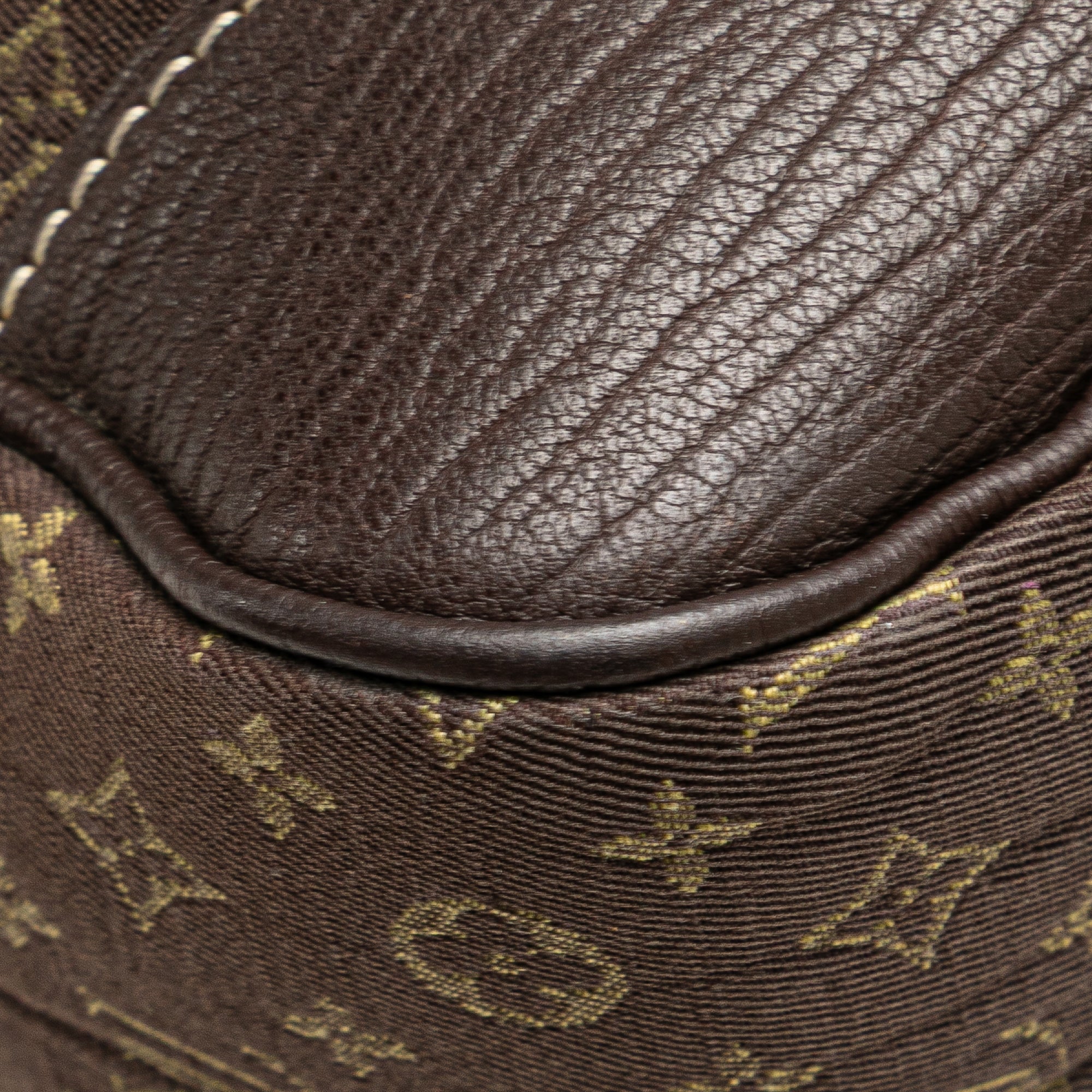 Monogram Mini Lin Boulogne