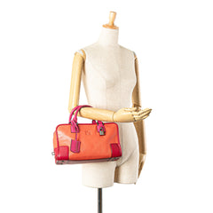 Tricolor Goatskin Amazona 28