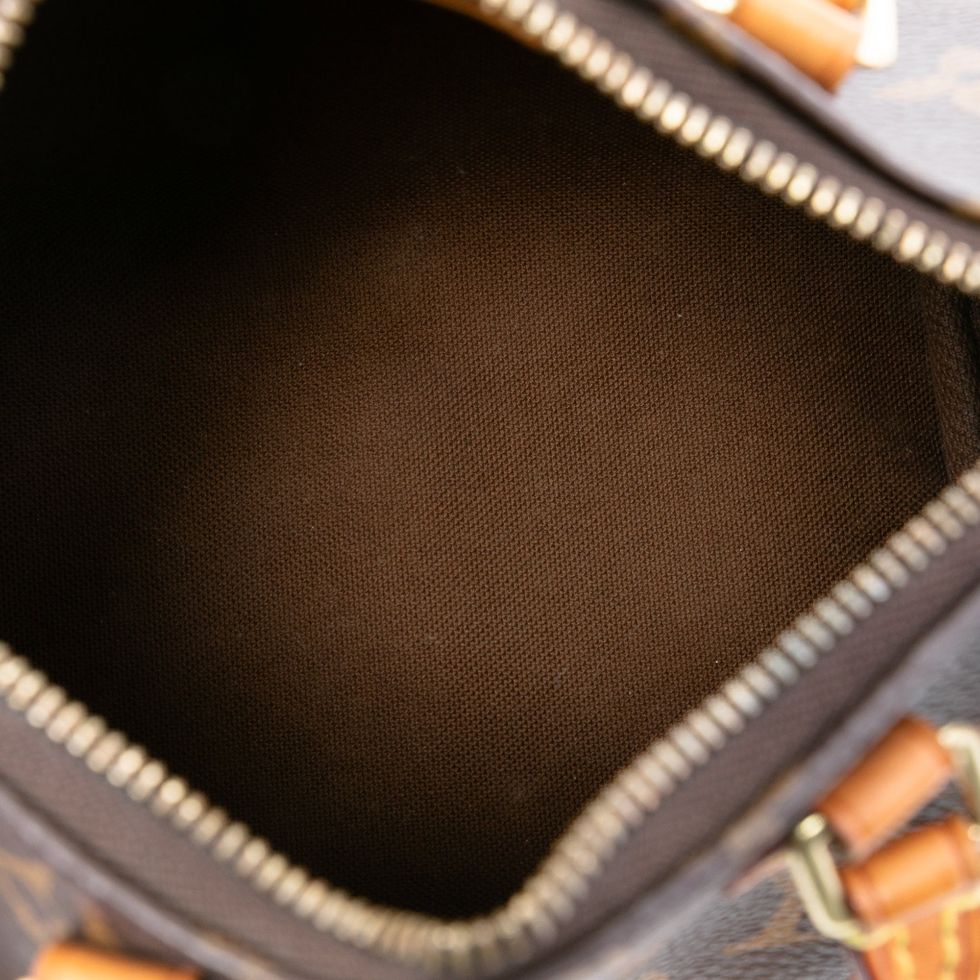 Monogram Nano Speedy Bandouliere