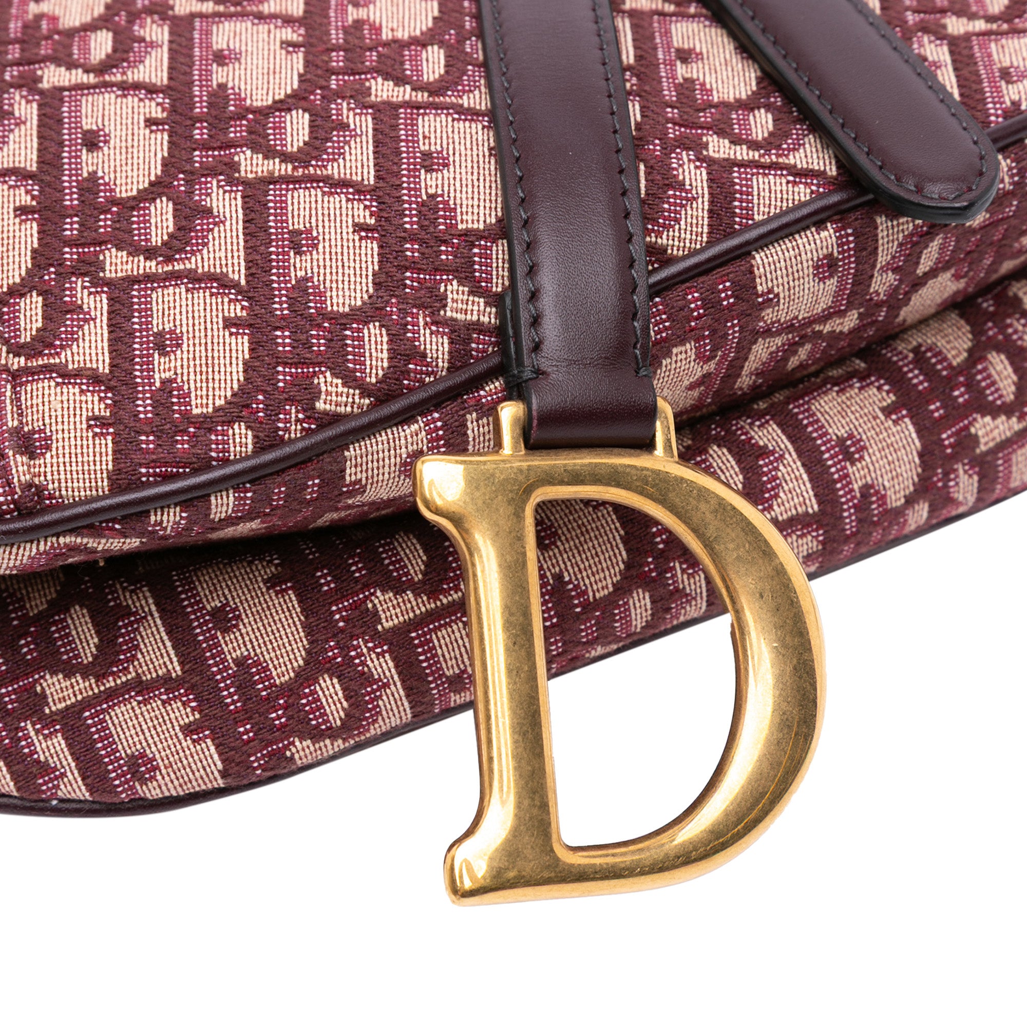 Mini Oblique Canvas Saddle Bag
