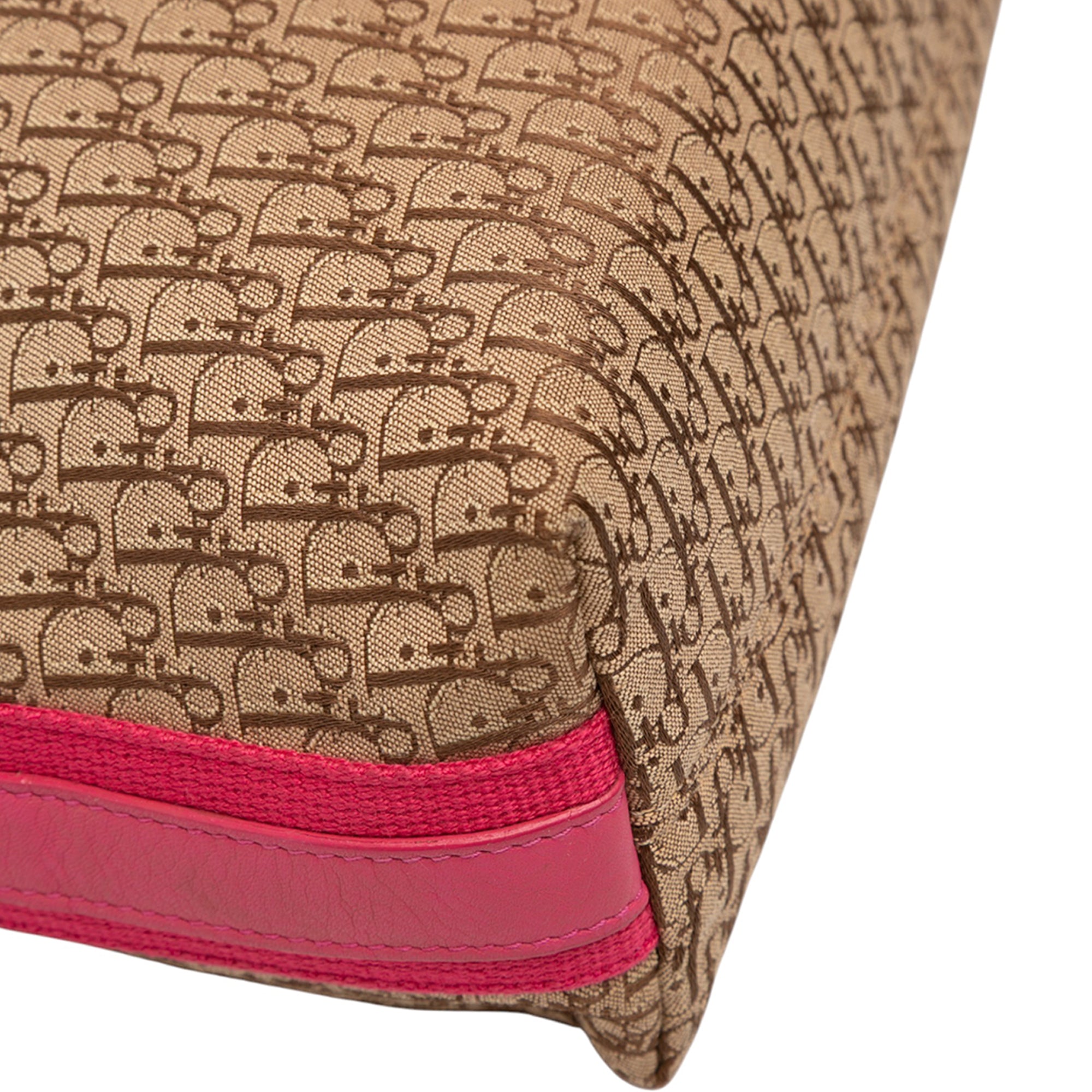 Diorissimo Trotter Canvas Street Chic Crossbody