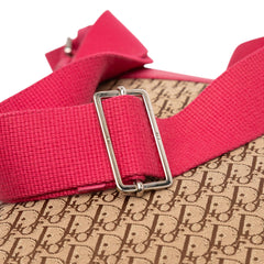Diorissimo Trotter Canvas Street Chic Crossbody