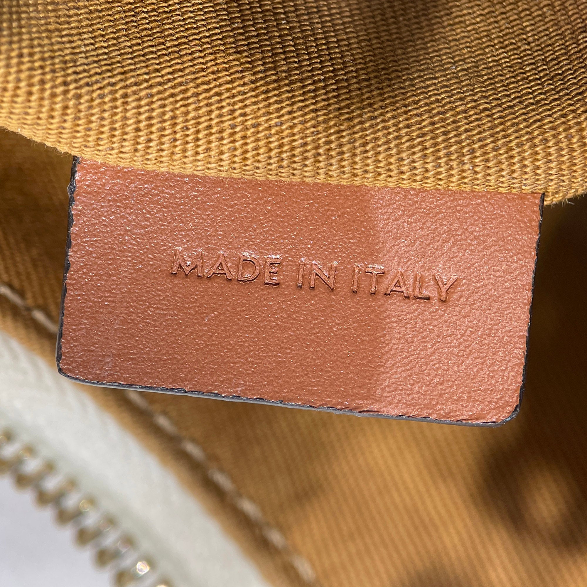 Triomphe Coated Canvas Ava Shoulder Bag