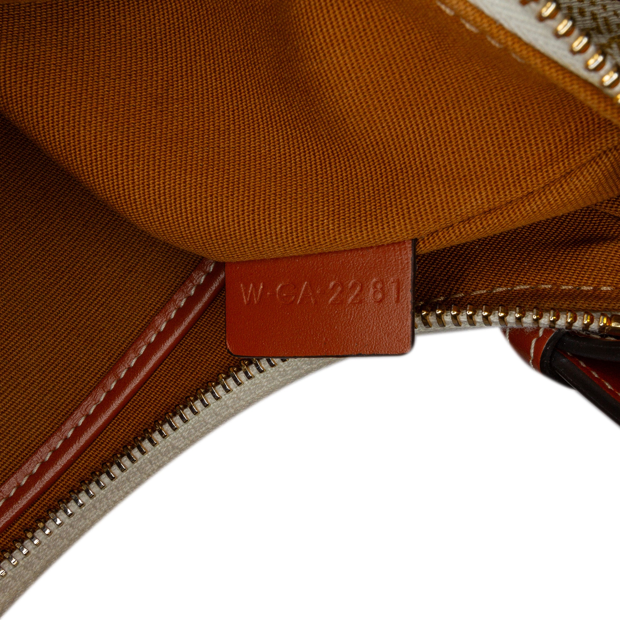 Triomphe Coated Canvas Ava Shoulder Bag