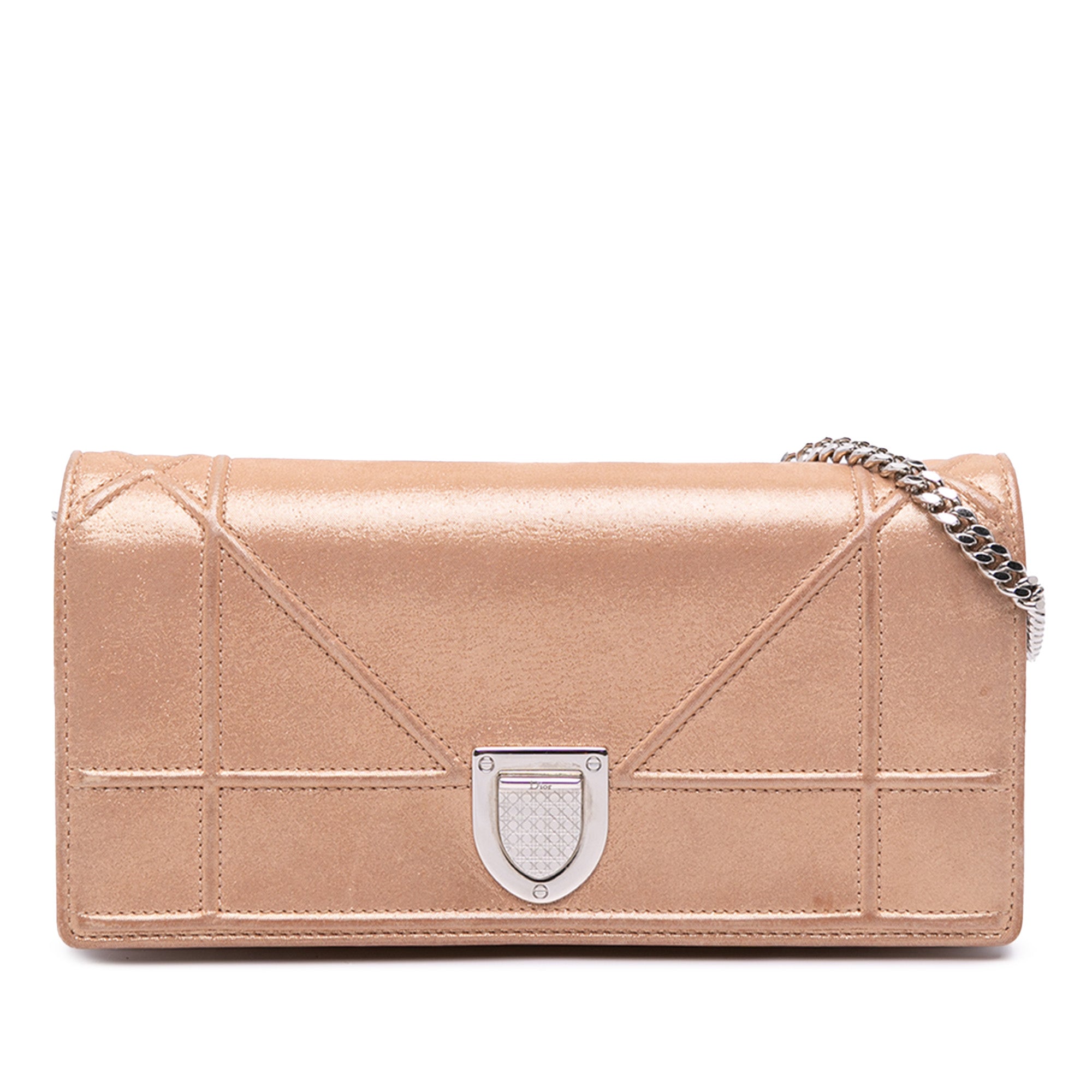 Metallic Grained Calfskin Diorama Wallet on Chain