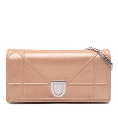 Metallic Grained Calfskin Diorama Wallet on Chain