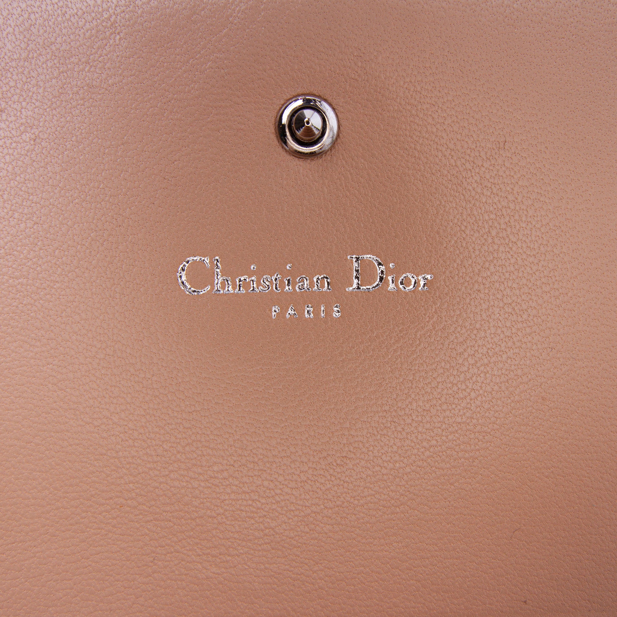 Metallic Grained Calfskin Diorama Wallet on Chain