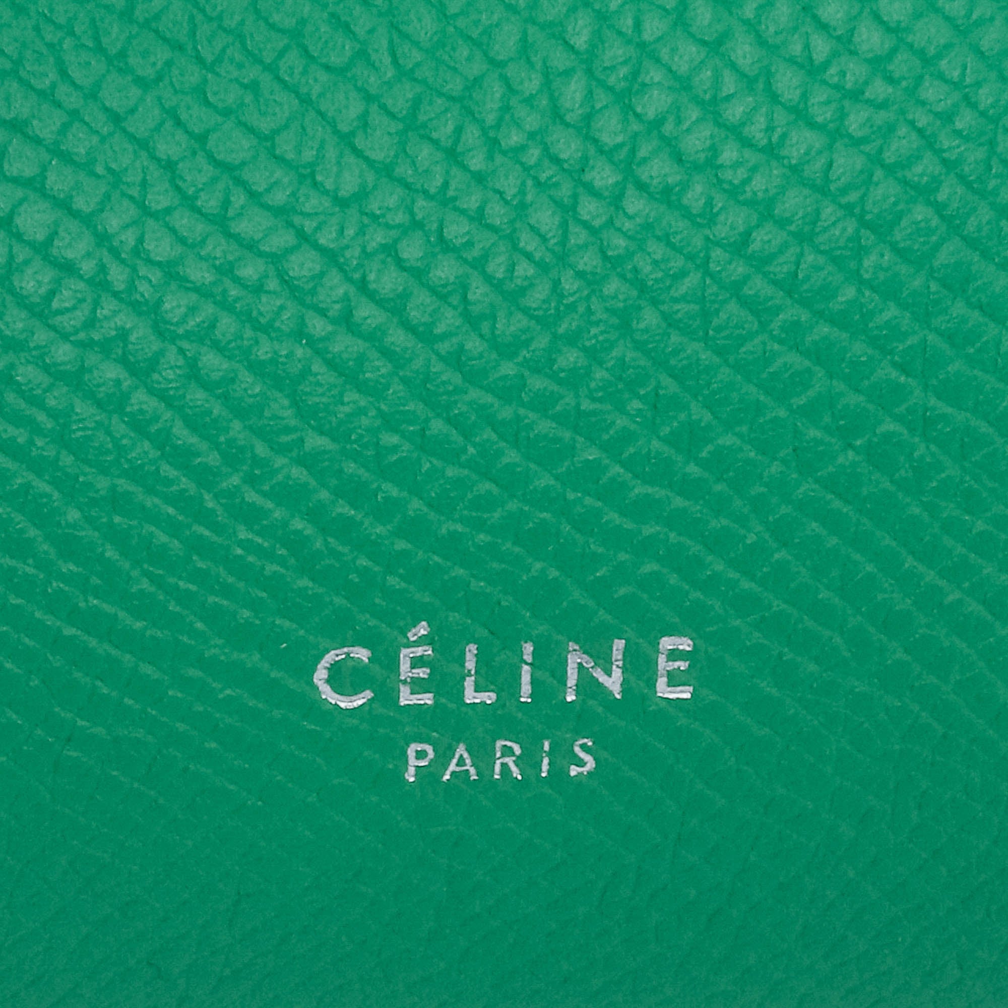 Micro Grained Calfskin Belt Bag