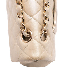 Medium Classic Iridescent Lambskin Double Flap