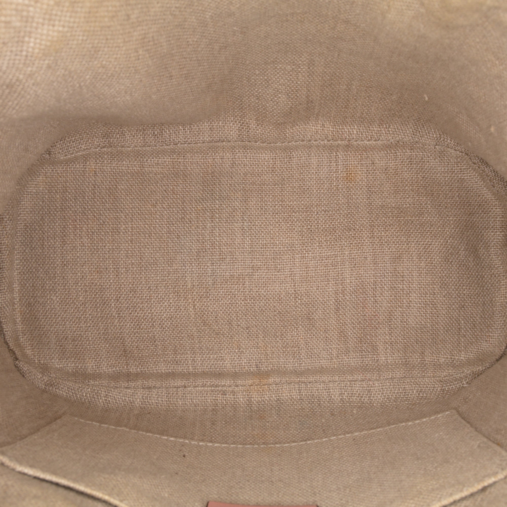Mini Microguccissima Dome Satchel