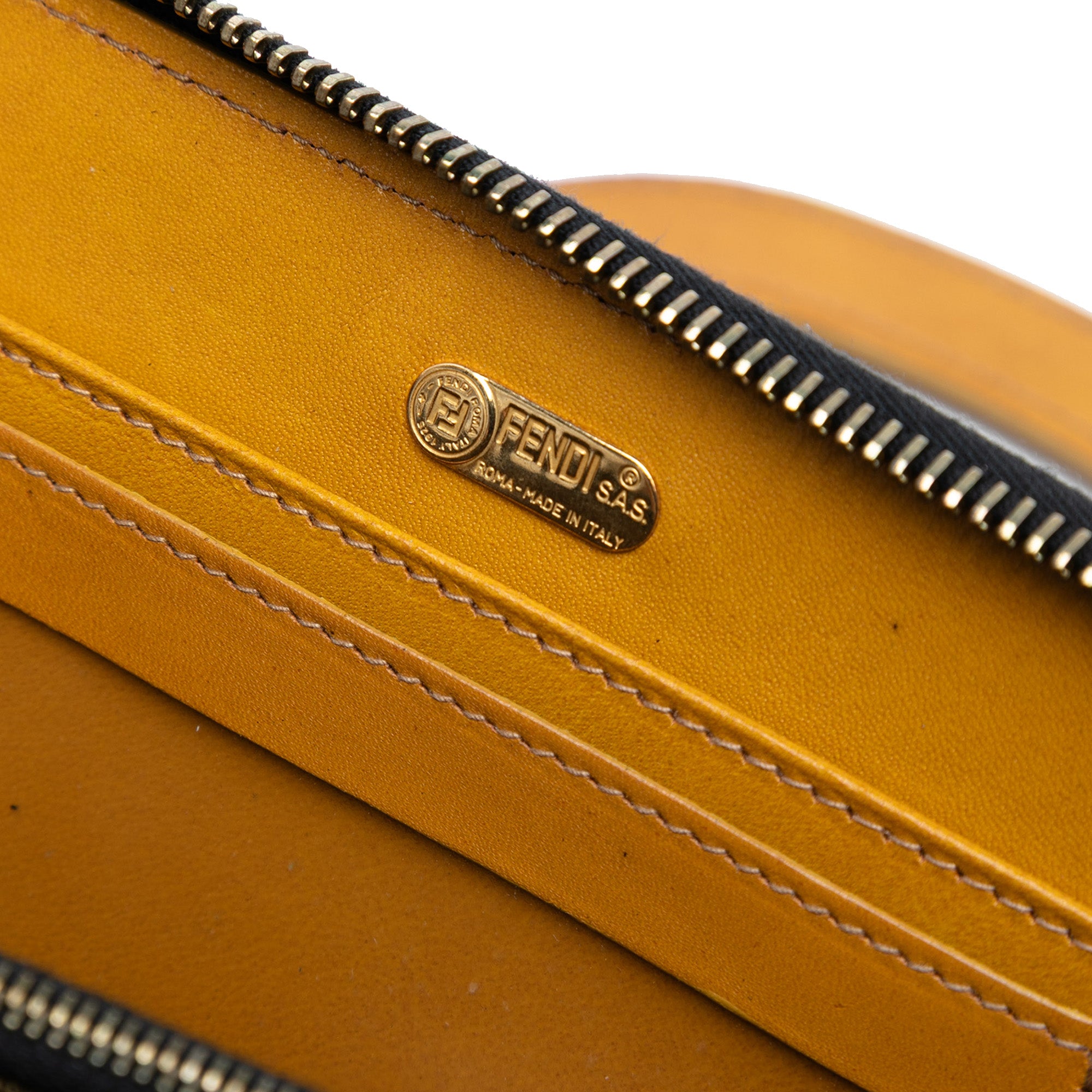 Zebra Print Canvas Twins Handbag