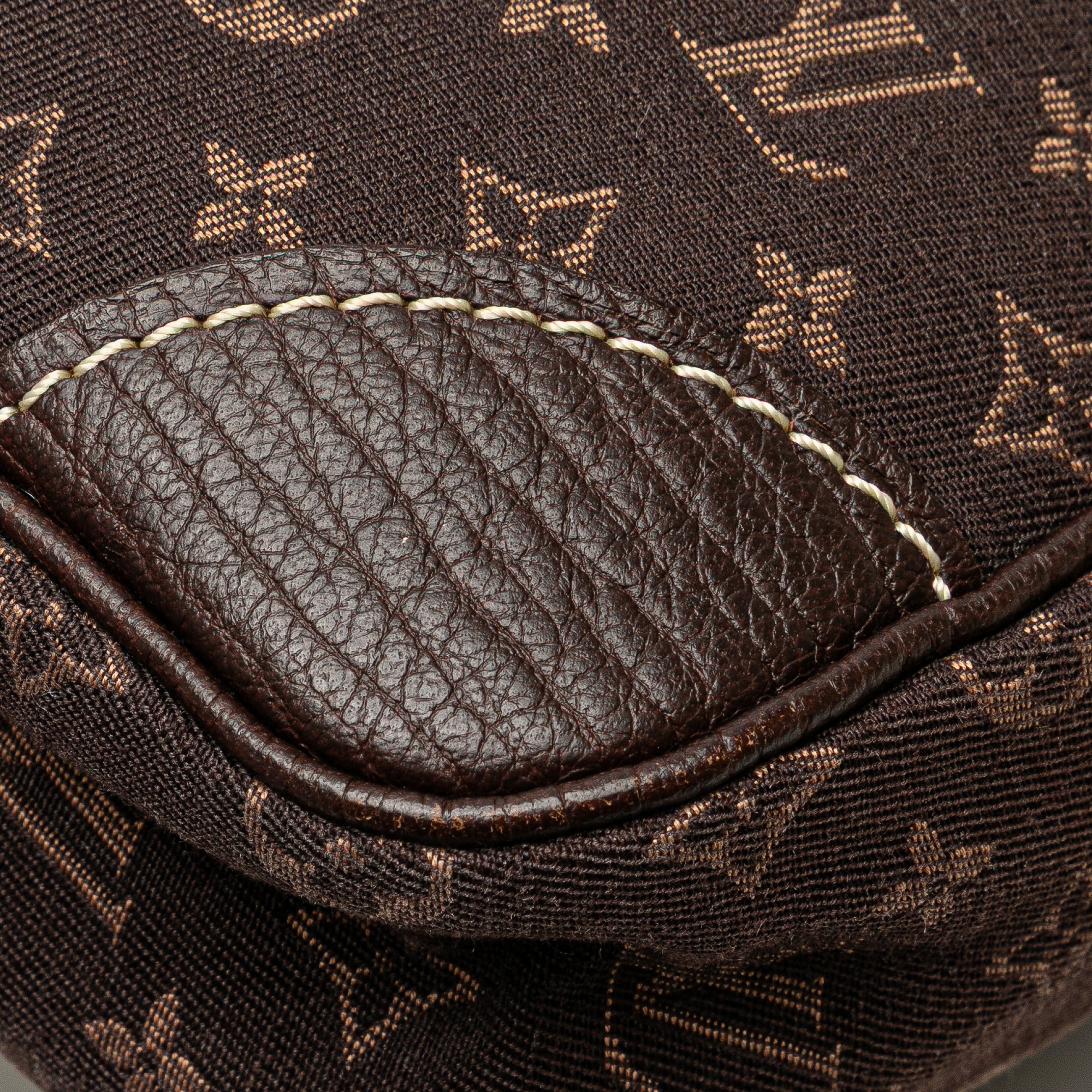 Monogram Mini Lin Danube