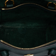 Pico Grained Calfskin Belt Bag