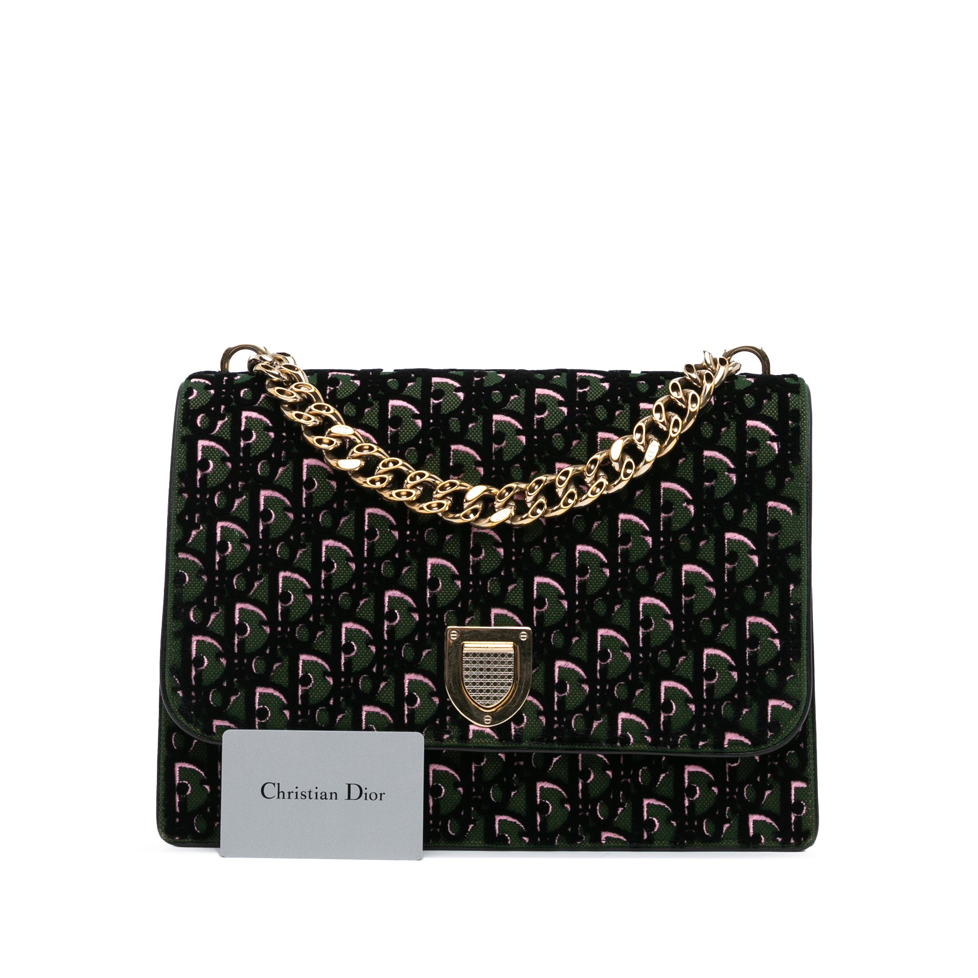 Oblique Velvet Diorama Satchel