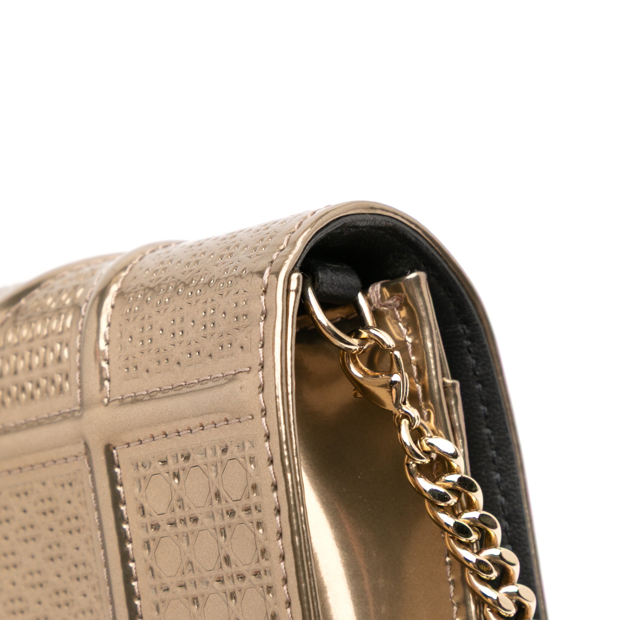Metallic Patent Microcannage Diorama Wallet on Chain