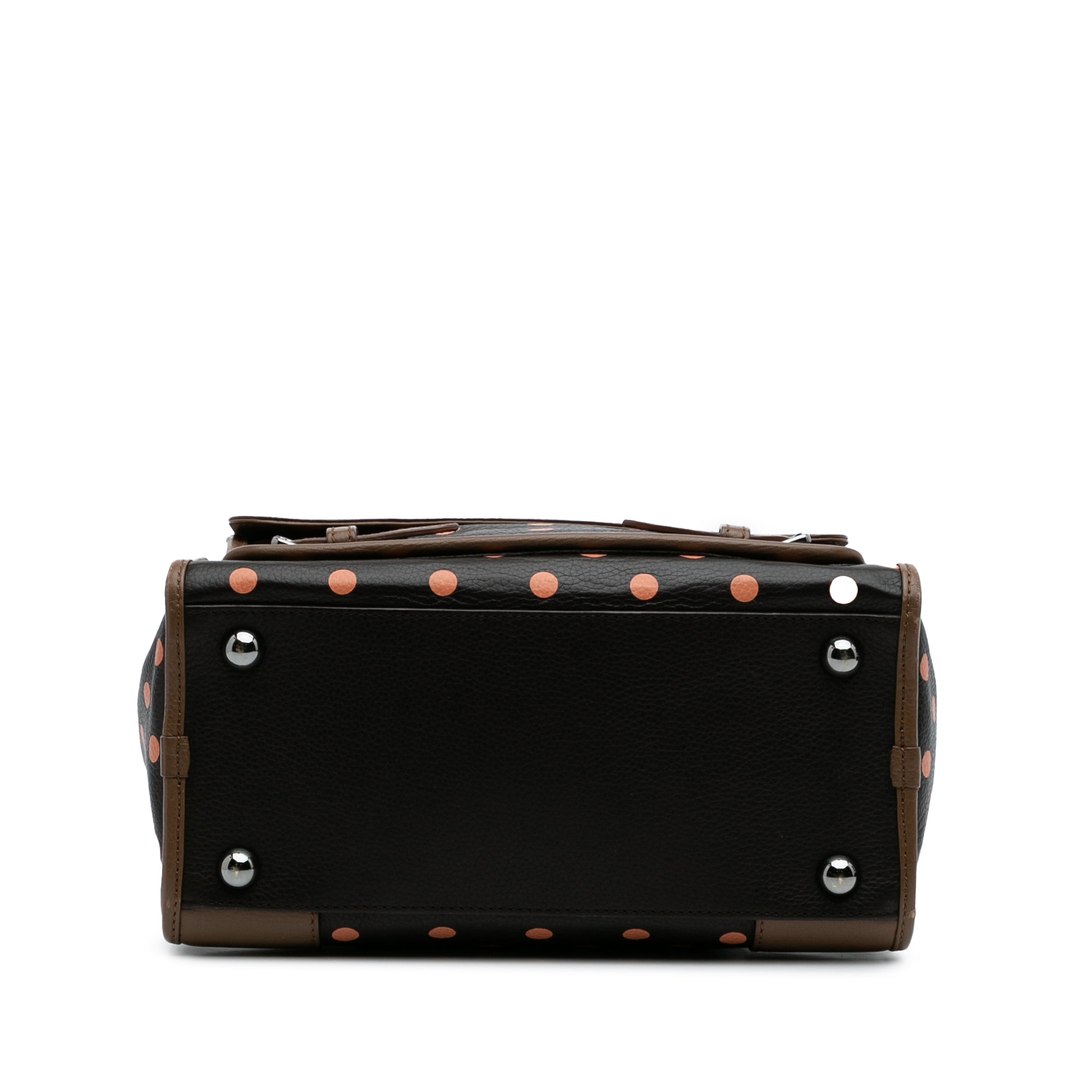 Leather Polka Dots Cruz Satchel