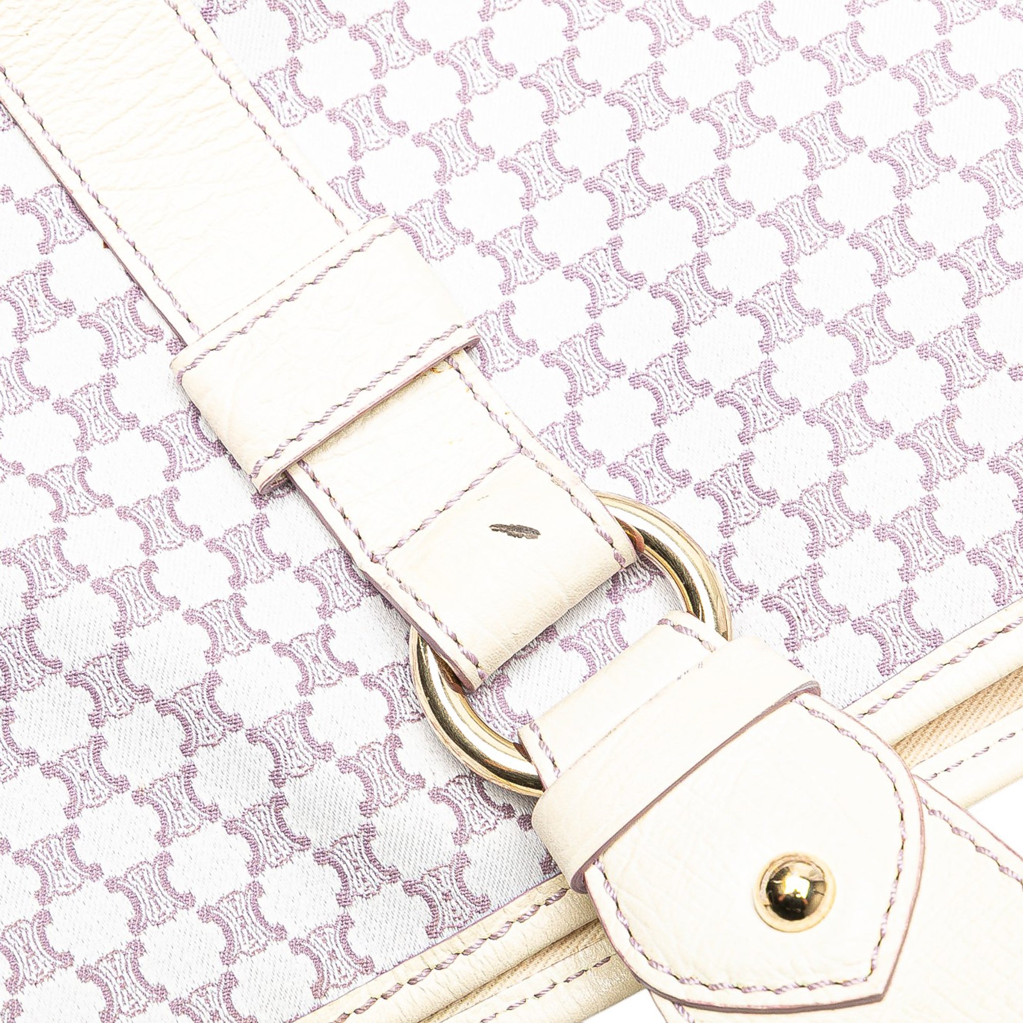 Macadam Canvas Boogie Handbag