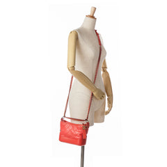 Small Aged Calfskin Gabrielle Crossbody