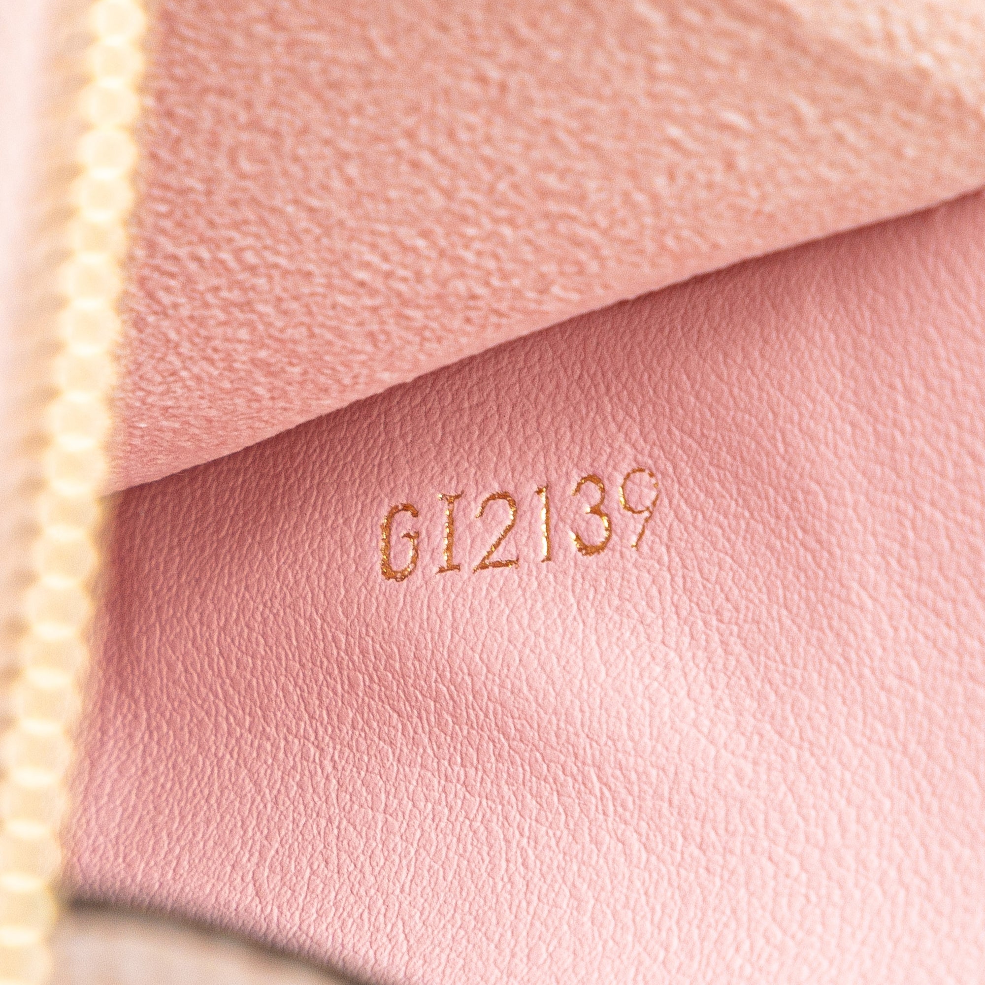 Limited Edition Monogram Giant Double Zip Pochette