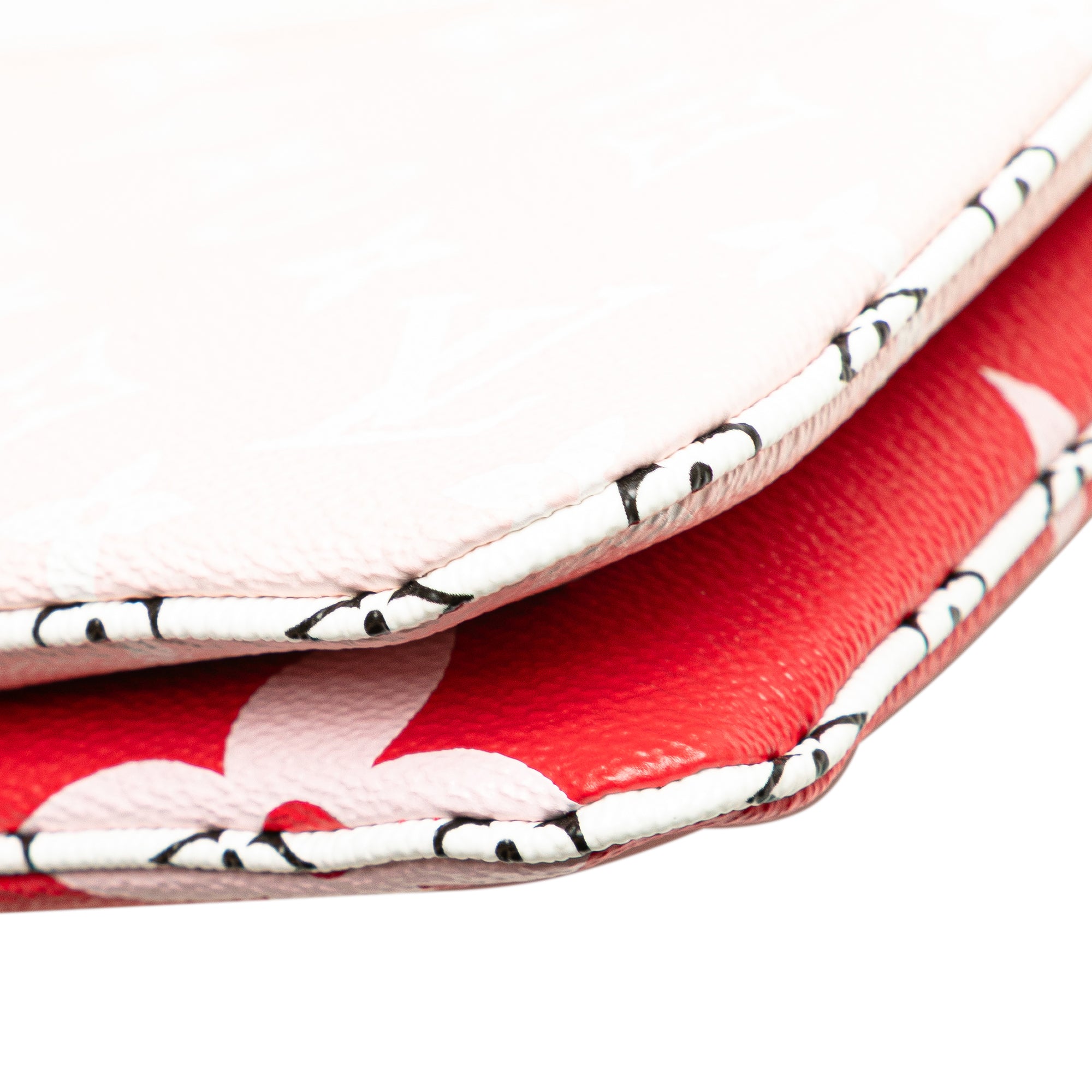Limited Edition Monogram Giant Double Zip Pochette