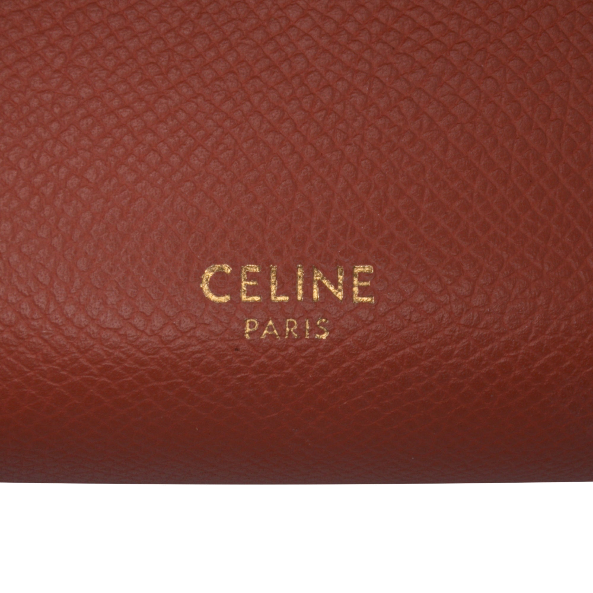 Pico Grained Calfskin Belt Bag