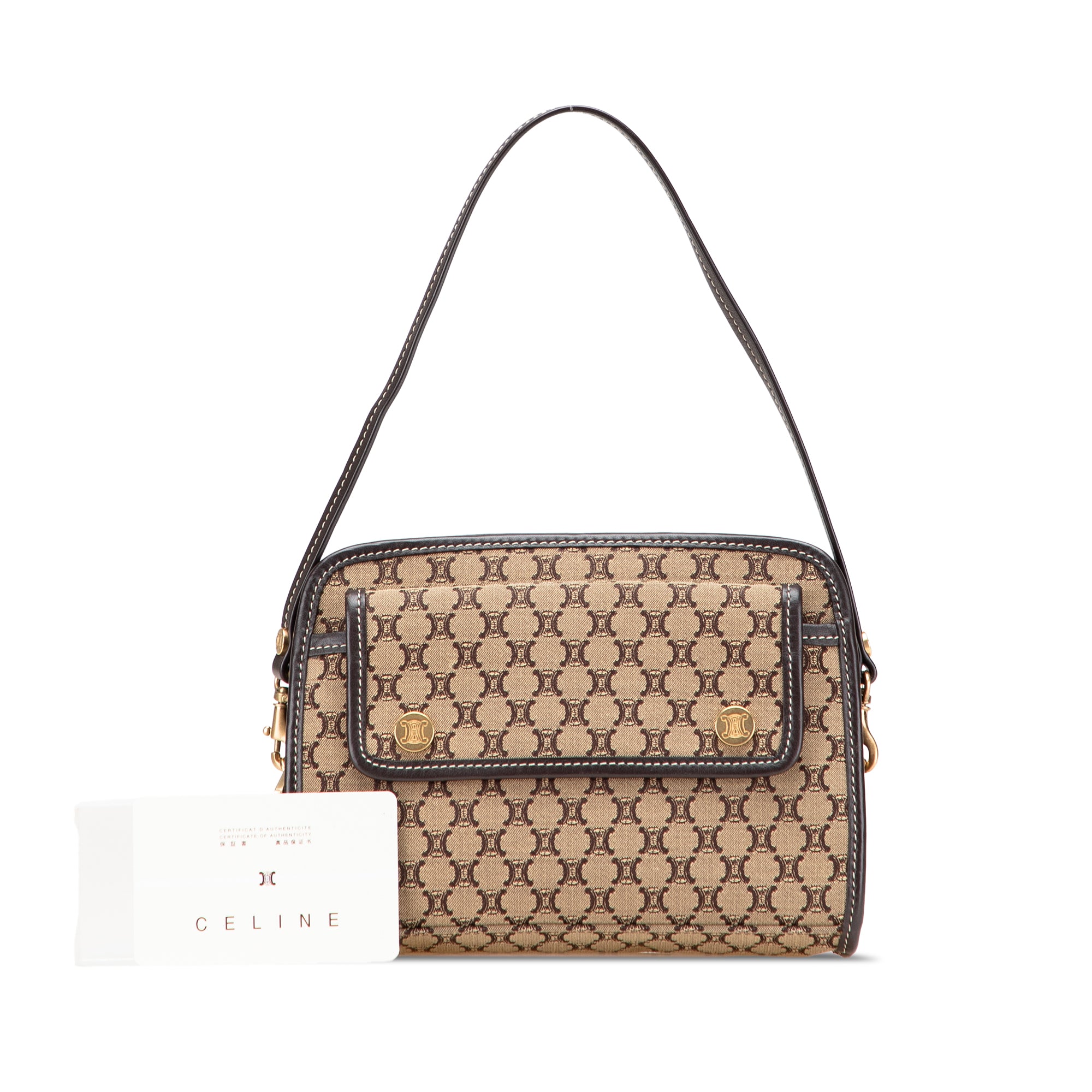 Macadam Canvas Triomphe Handbag