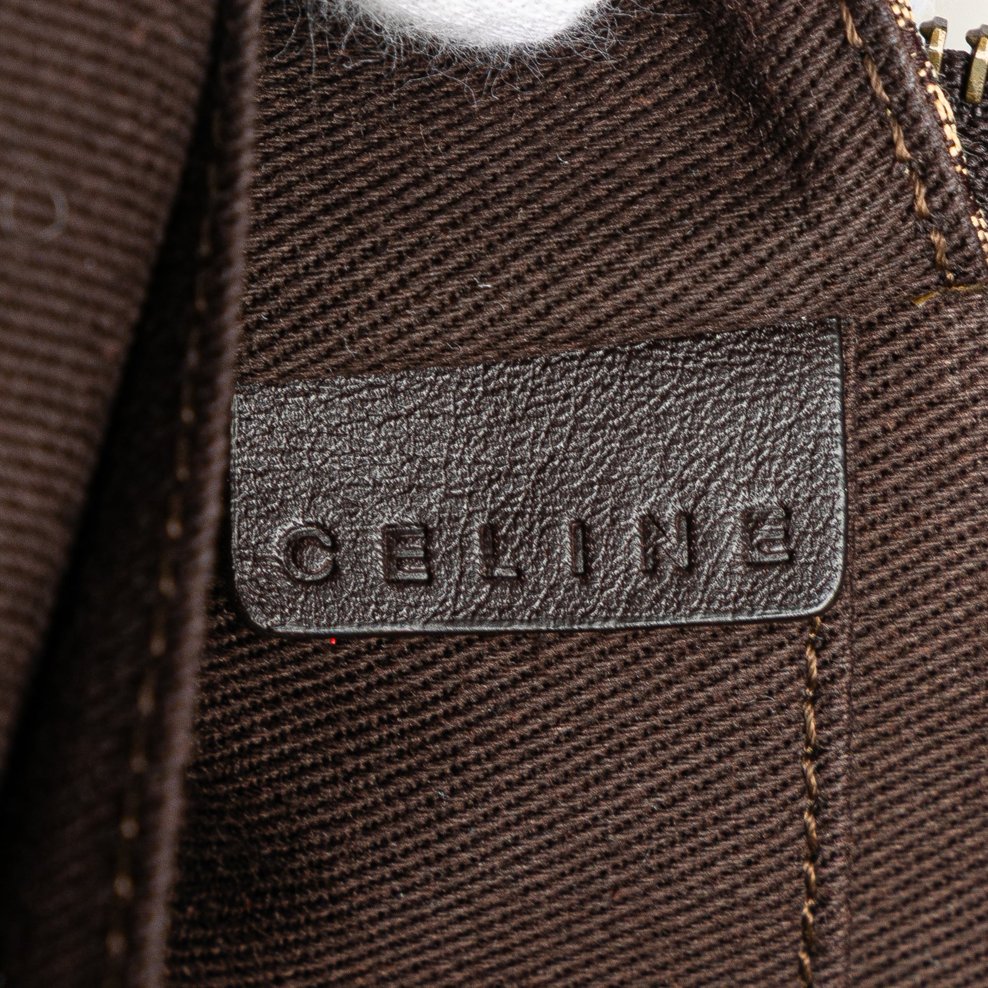 Macadam Canvas Triomphe Handbag