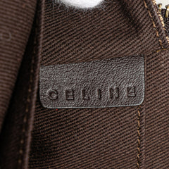 Macadam Canvas Triomphe Handbag