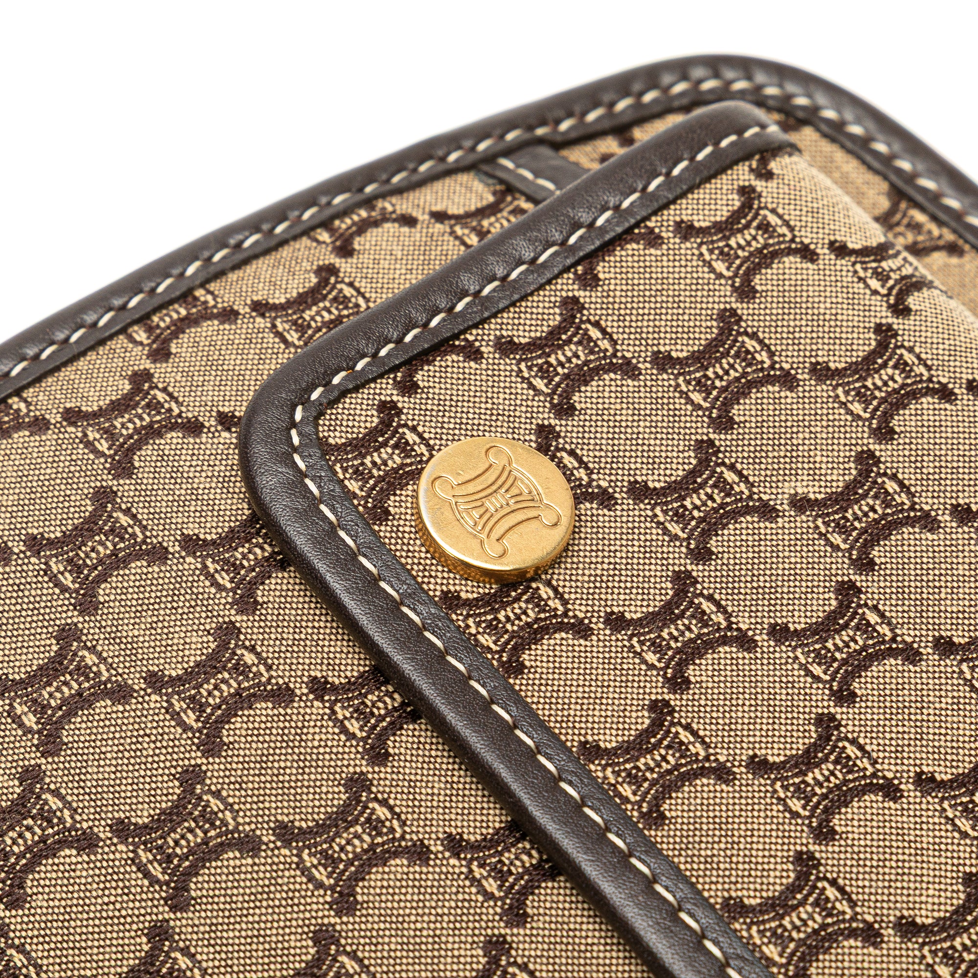 Macadam Canvas Triomphe Handbag